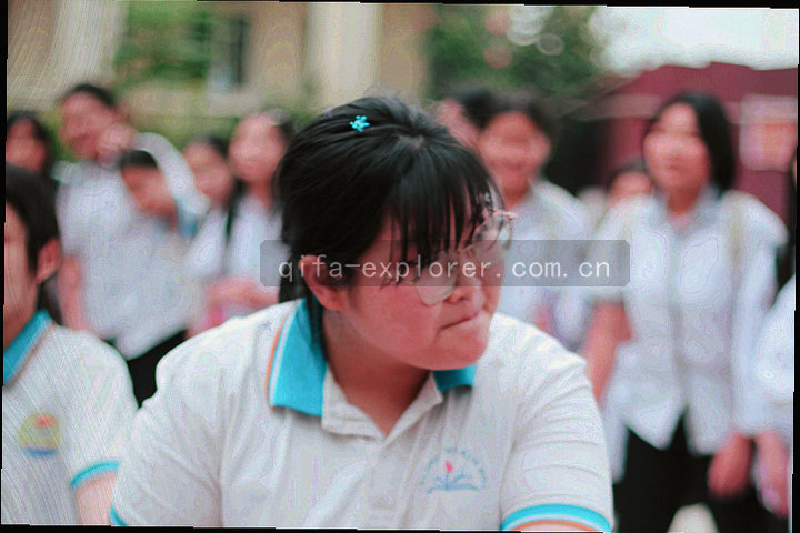 三组抽象图形标签并排排布，用青瓷绿与橙色区分不同专题
